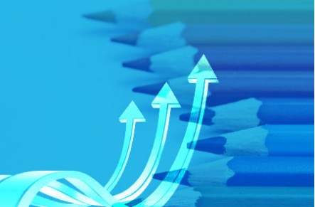 如何建設(shè)一個(gè)網(wǎng)站才能符合排名規(guī)則